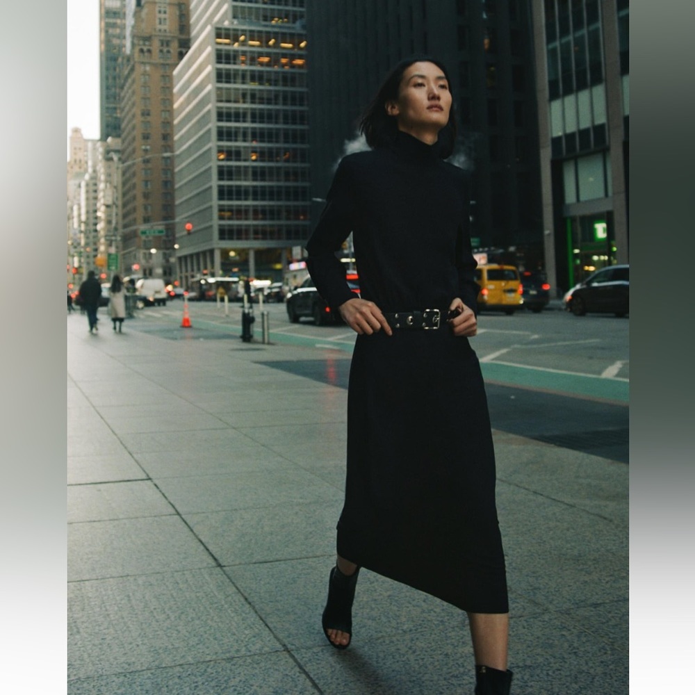 ZARA HIGH COLLAR MIDI DRESS - Picture 3 of 7